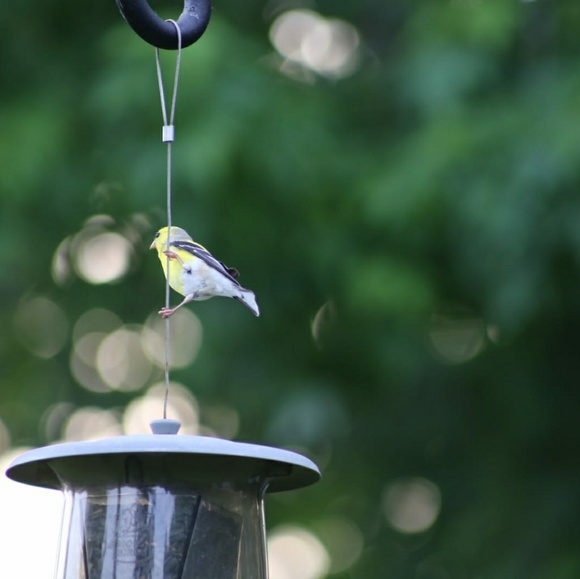 Meet your Posher, Olga - Picture 1 of 1